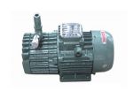CYBW-25 self-lubricating air pump