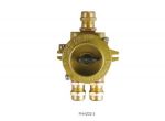 FHH202 Explosion Proof Switch