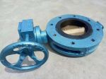 Marine Center Pivoted Double Flanged Butterfly Valve with Worm Gear