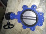 Marine Center-Pivoted Worm Manual Lug Butterfly Valve