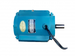 YT Series Totally-Enclosed Three-Phase Induction Motor