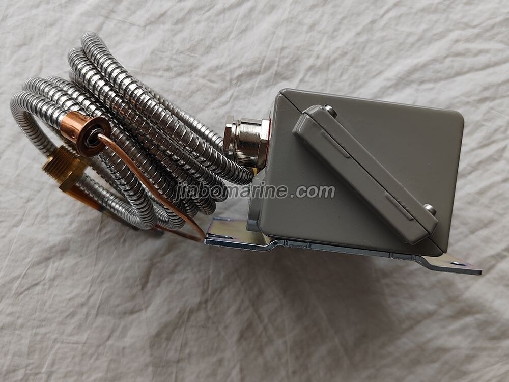 060L310466 Danfoss temperature thermostat - Image 3
