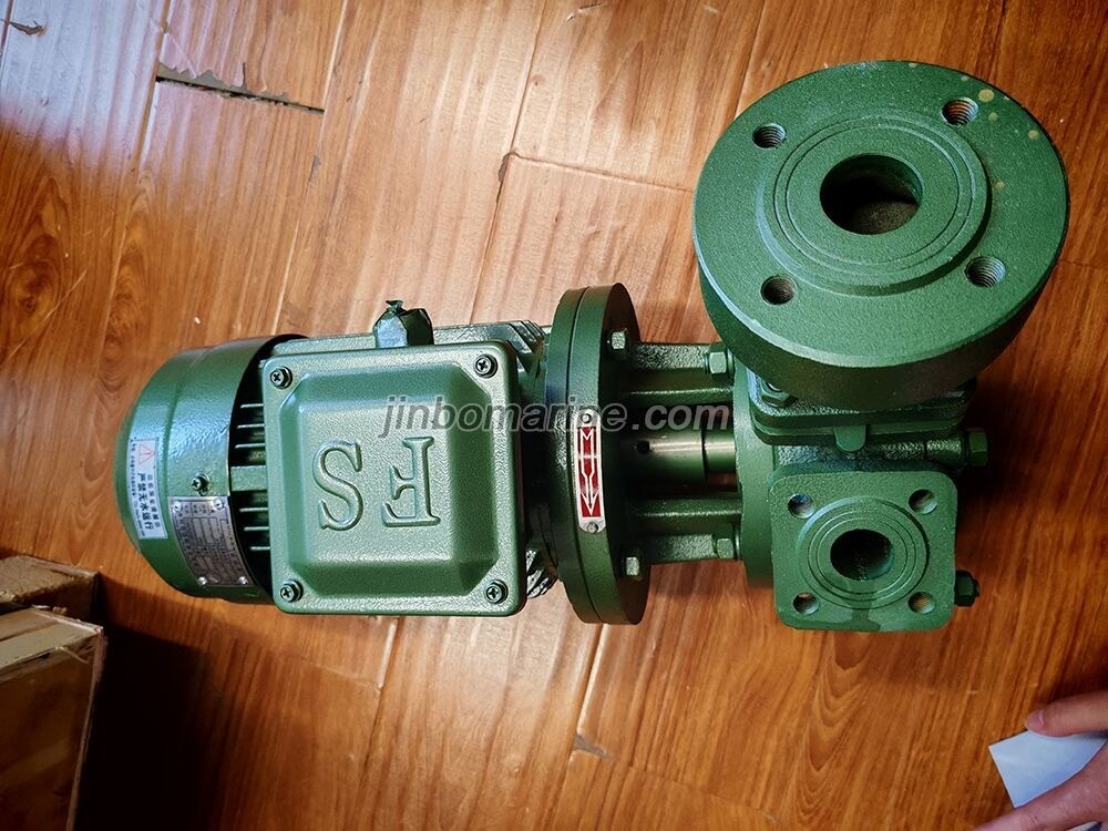 1WZ-0.9-Y Marine Vortex Pump - Image 1