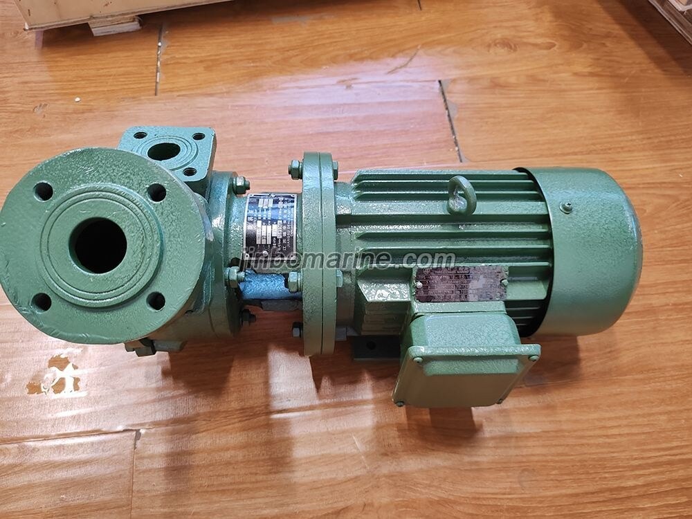 1WZ-0.9 Vorrex Pump - Image 1