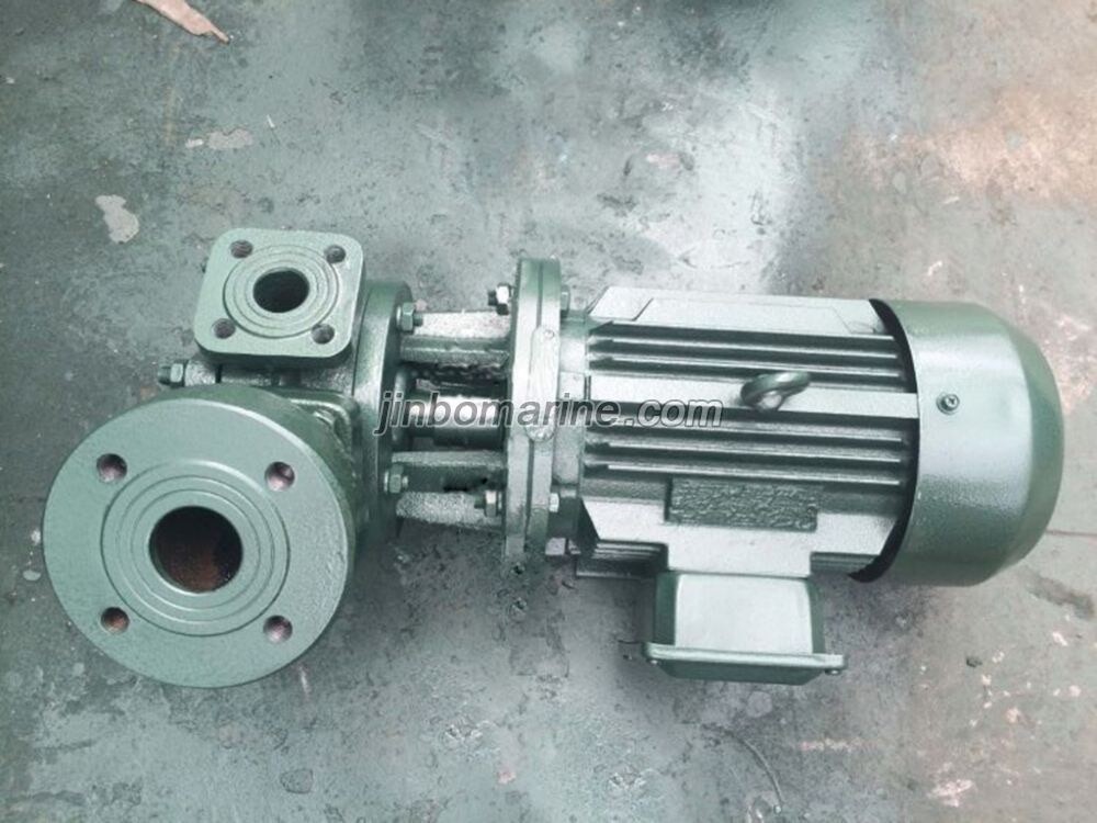 1WZ-0.9Z marine direct connected self-priming vortex pump - Image 1