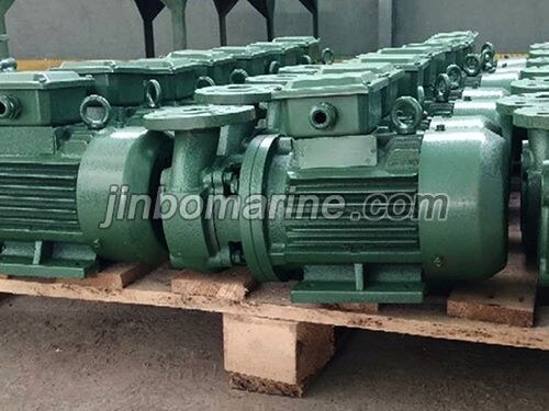 0.5PWF-8 Marine Smash Crushing Pump