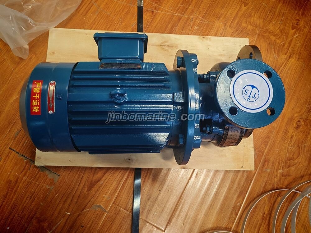 0.5CWF-30B Marine Crushing Discharge Pump - Image 1
