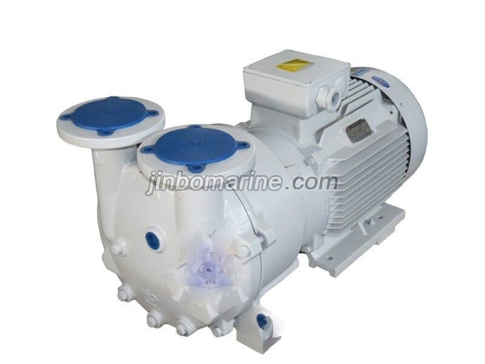 2BV Series Vacuum Pump - Image 1