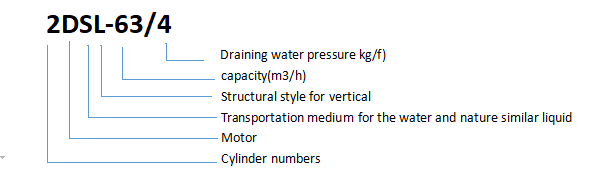 2DSL Series Electric Reciprocating Pump