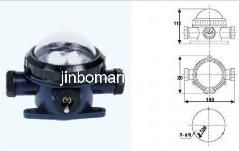 Incandescent Light CCD3-3