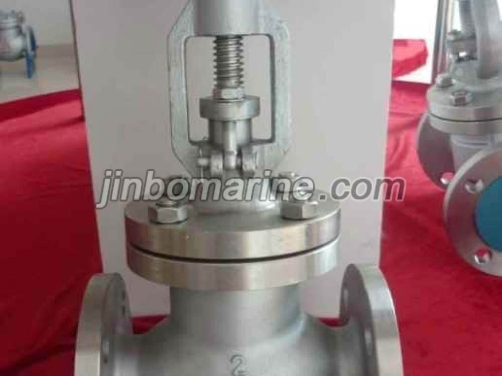 API Globe Valve - Image 1