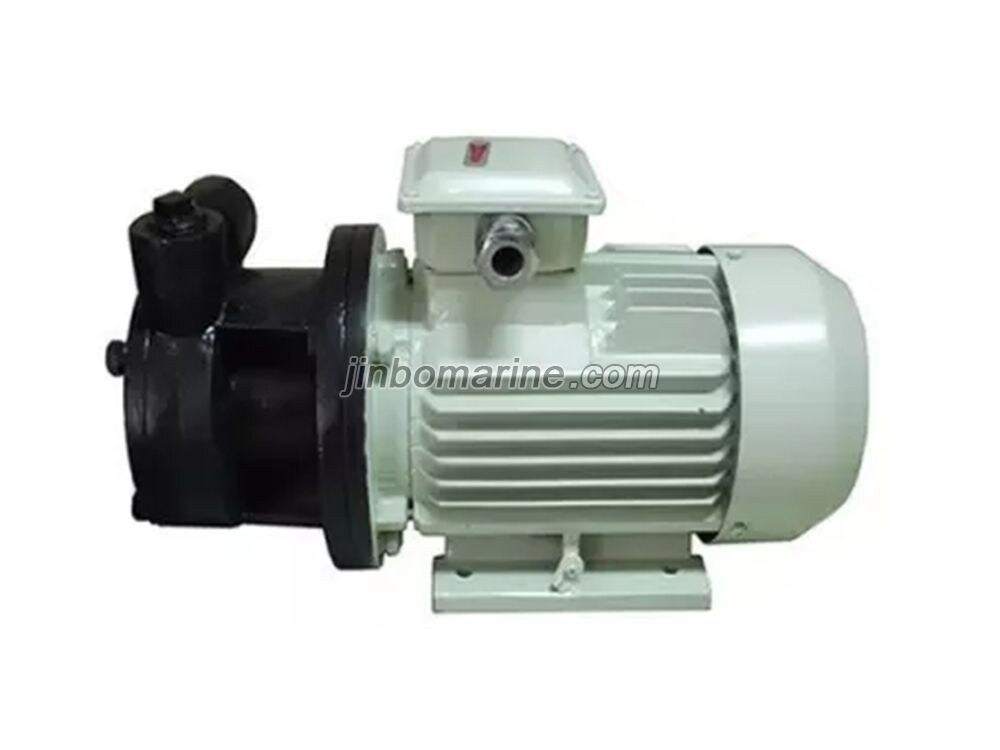 3/4W0.7-10.5 Single-stage Vortex Pump - Image 2