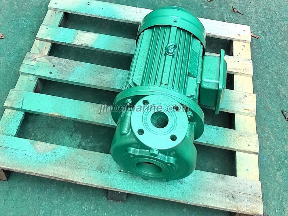 50CPW-10-30 Marine Horizontal Crushing Pump - Image 3