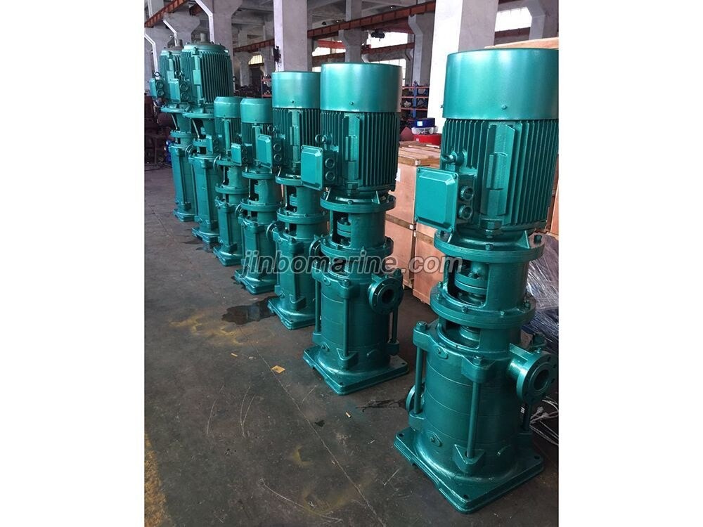65DL-5 65DLR-5 DL and DLR vertical multi-stage centrifugal pumps - Image 2