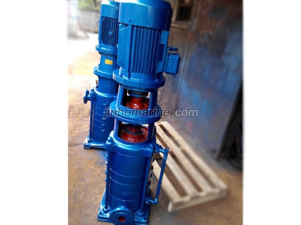 65DL-5 65DLR-5 DL and DLR vertical multi-stage centrifugal pumps - Image 4