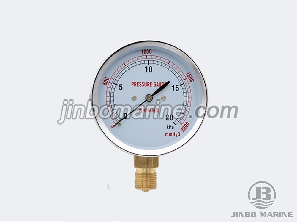 Capsule Pressure Gauge