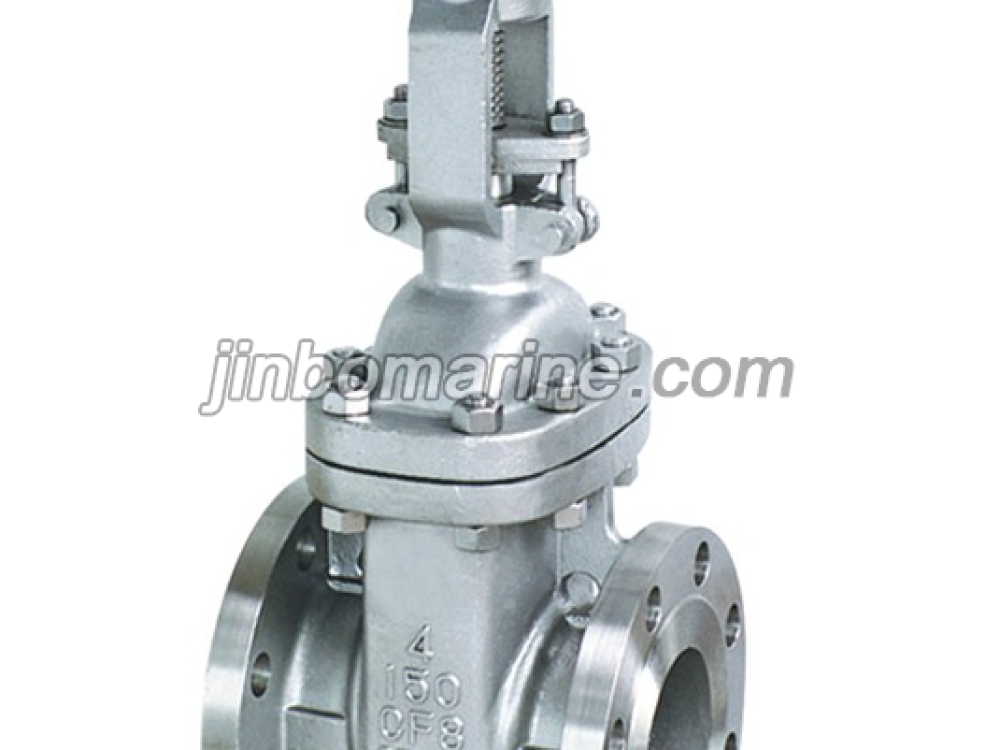 API Stainless Steel Gate Valve - Image 1
