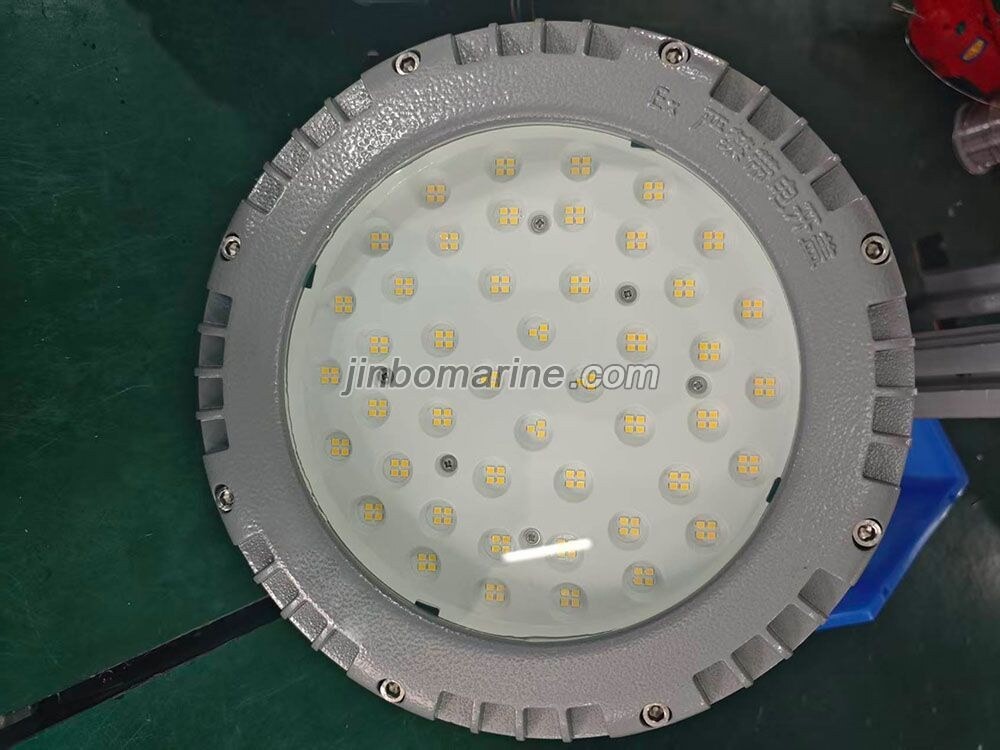 BAT95-T 80W LED Explosion-proof Light - Image 1
