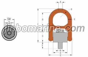 BLT082 Heavy Duty Hoist Ring