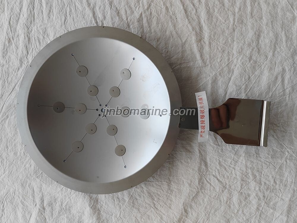 Bursting Disc LFT150-0.5-A - Image 2
