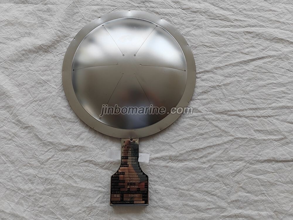 Bursting Disc LFT150-0.5-A - Image 1