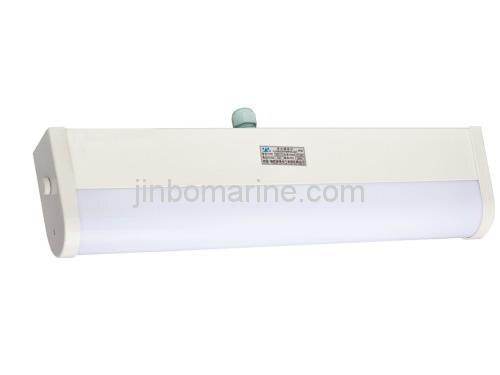 Fluorescent Mirror Light CBD17-C