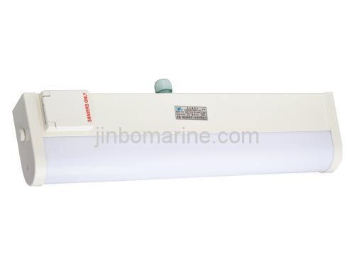 Fluorescent Mirror Light CBD17-D