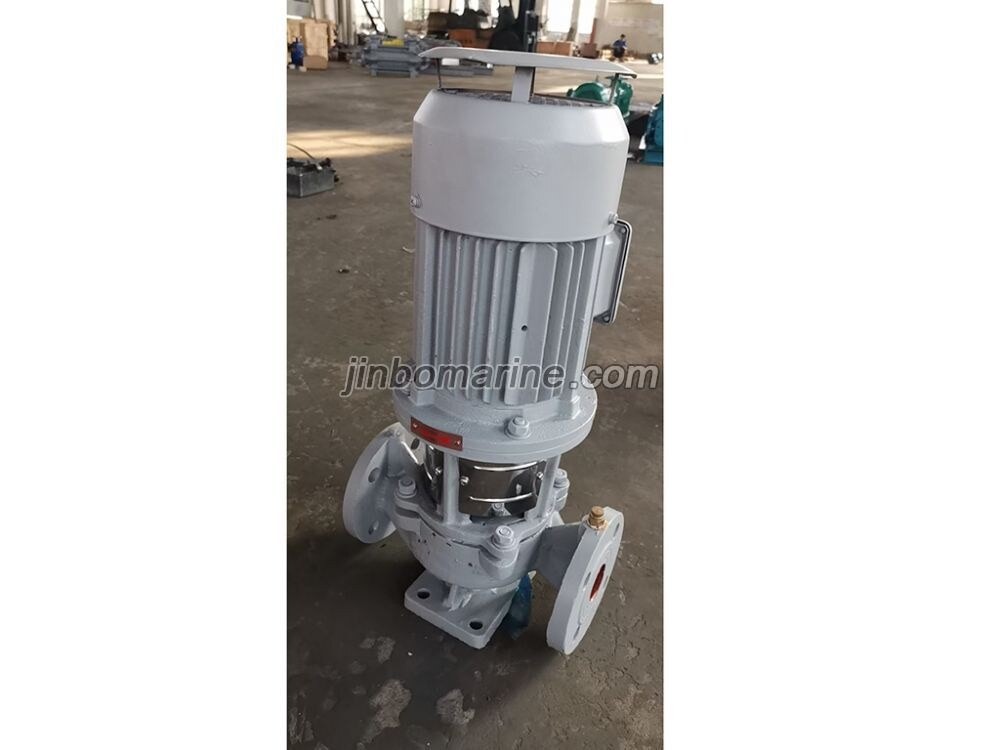 CL Series Marine Vertical Centrifugal pump 80CL-65 - Image 2