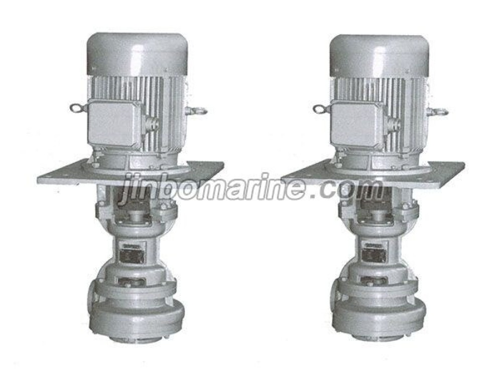 80CL-50 marine vertical centrifugal pump - Image 1
