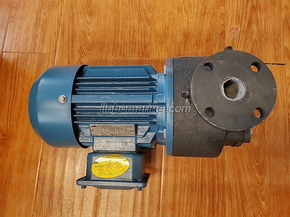 CNJ-50 Marine Sewage Pump - Image 2
