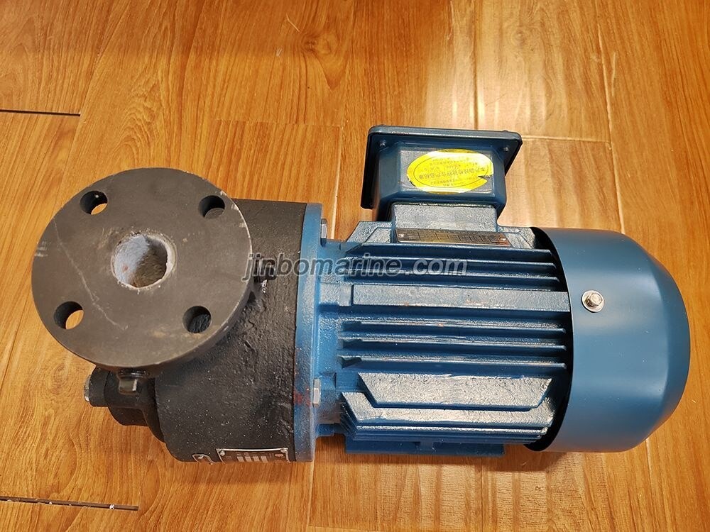 CNJ-50 Marine Sewage Pump - Image 1