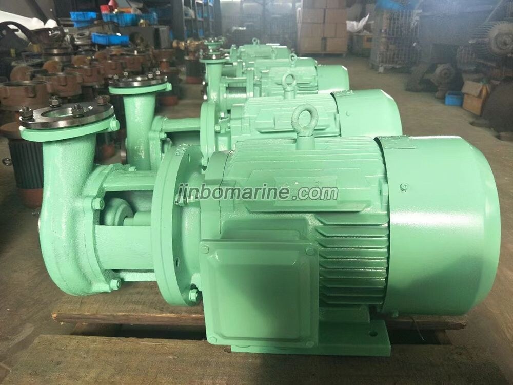 CPW Series Marine Sludge Discharge Pump - Image 3