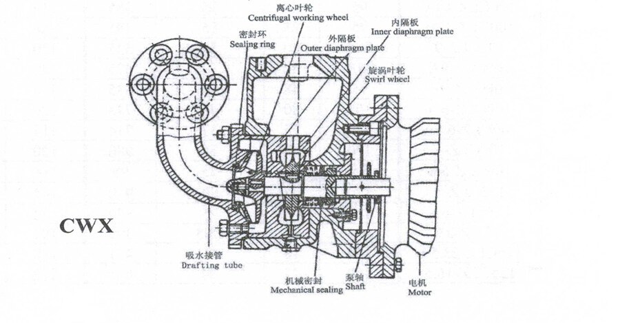 CWX Series Self-Priming Vortex Fresh Water and Sanitation Pump