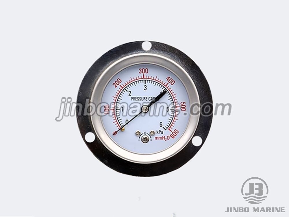 Capsule Pressure Gauge - Image 2