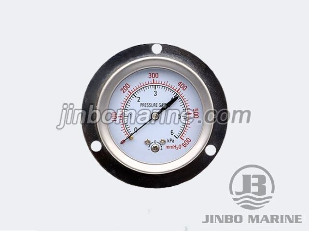 Capsule Pressure Gauge