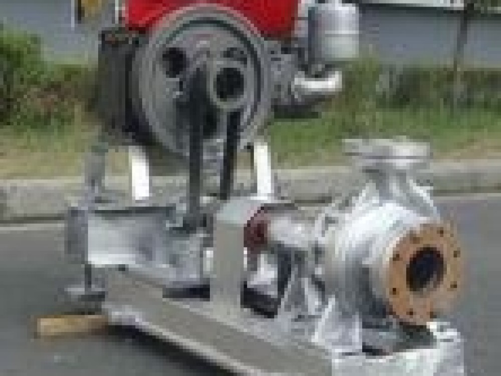 WRY Diesel Engine Driven Hot Oil Pump - Image 1