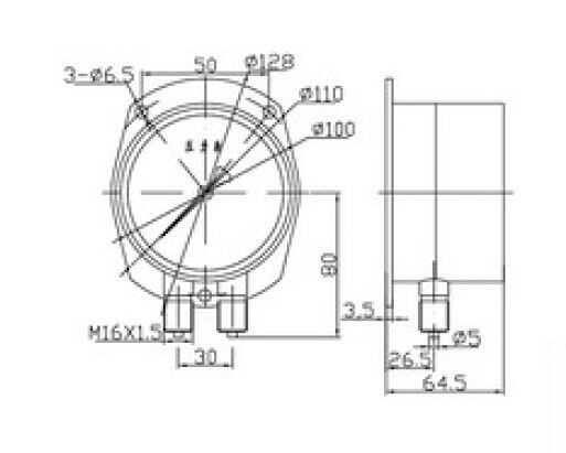 Double Needles And Double Tubes Pressure Gauge