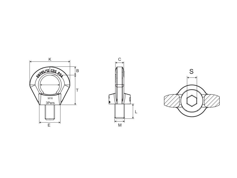 PSA-16L Duplex Stainless Steel Eye Bolt