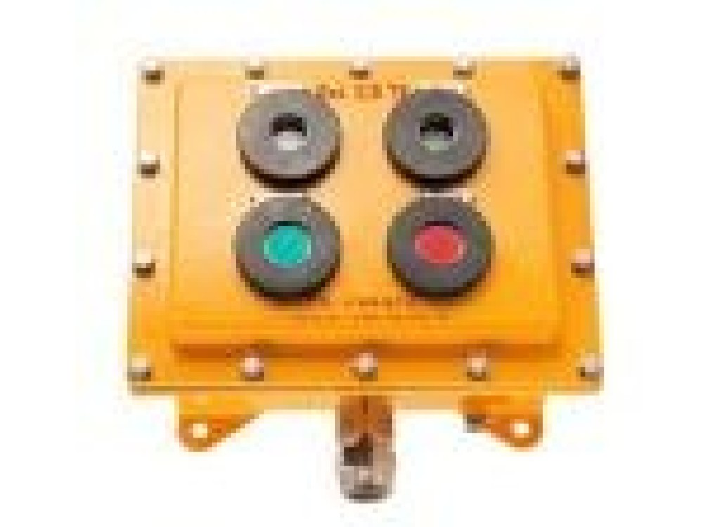 Explosion-proof Button Box CFA-2-2 - Image 1