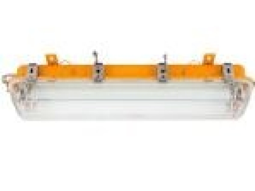 Explosion-proof Fluoresent Pendant Light CFY21-2 CFY41-2