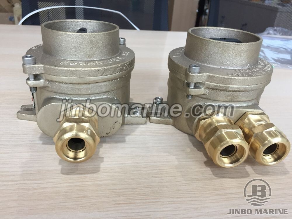 FHH202 Explosion Proof Switch