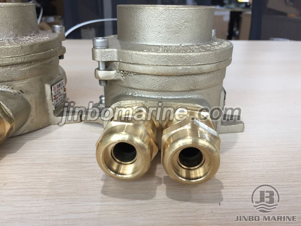 FHH202 Explosion Proof Switch