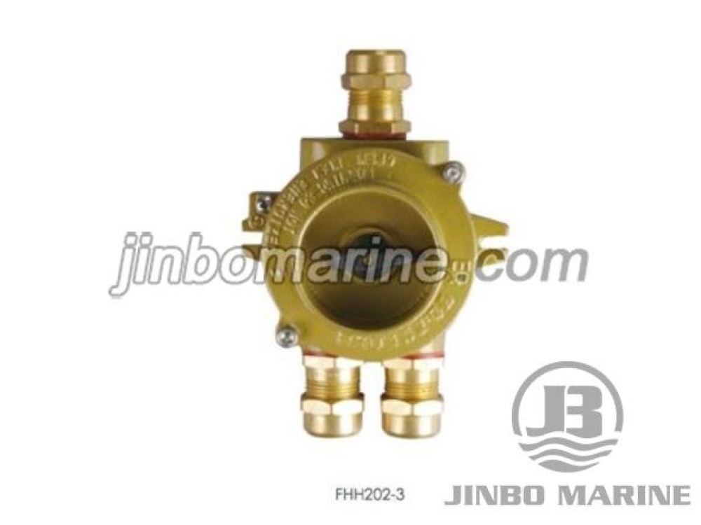 FHH202 Explosion Proof Switch - Image 1