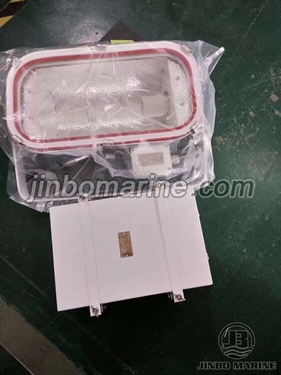 Flood Light TG19