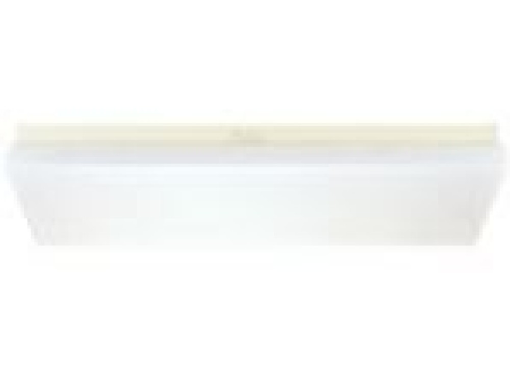 Fluorescent Ceiling Light JPY15-2 - Image 1
