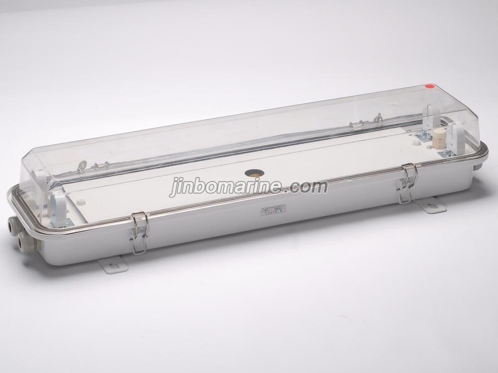JCY24-2 Fluorescent Pendant Light - Image 1