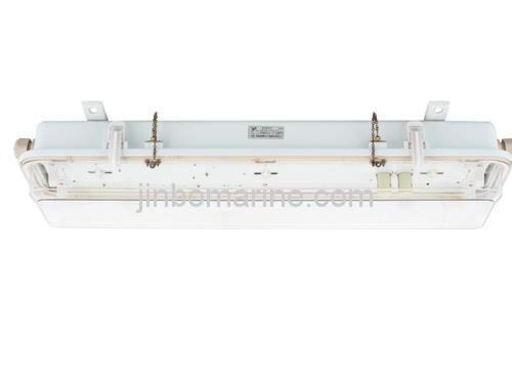 Fluorescent Pendant Light JCY25-2P - Image 1