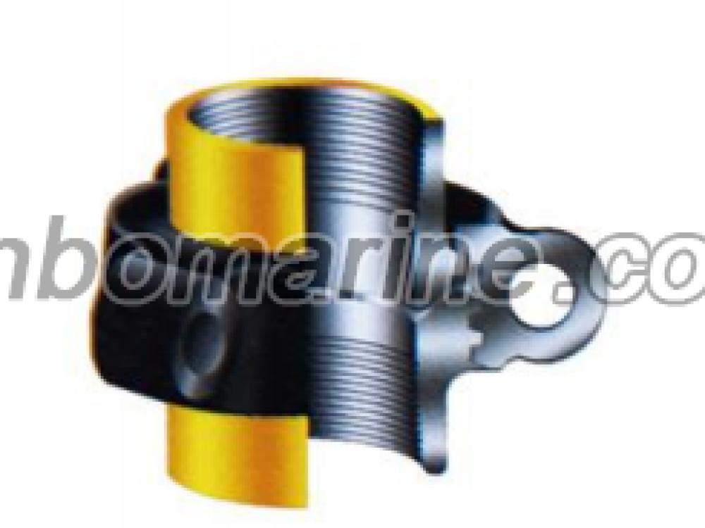 HIGH, MEDIUM AND LOW PRESSURE UNIONS FIG100 - Image 1
