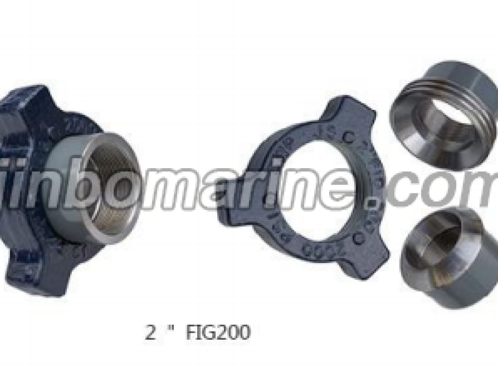 HIGH, MEDIUM AND LOW PRESSURE UNIONS FIG200 - Image 2