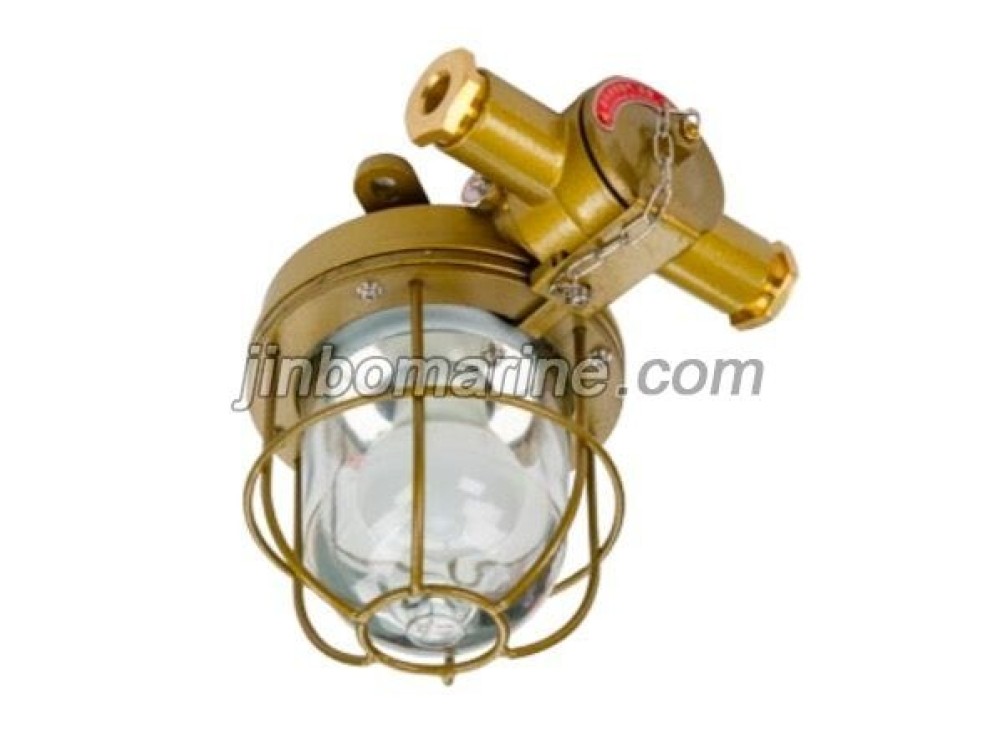 LED TdF220-10 Explosion Proof Light - Image 1